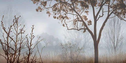 Early Morning Mist I Poster Print - John Seba