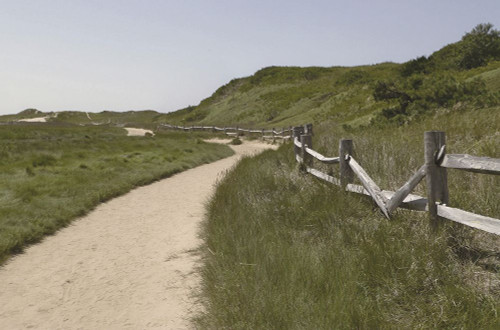 High Road 1 Poster Print - GST