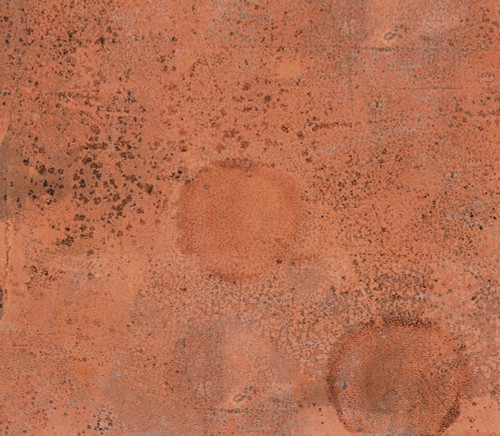 Market-ORL1 Poster Print - Melissa Renee