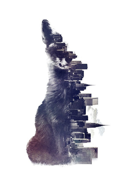 Fox From The City Poster Print - Robert Farkas