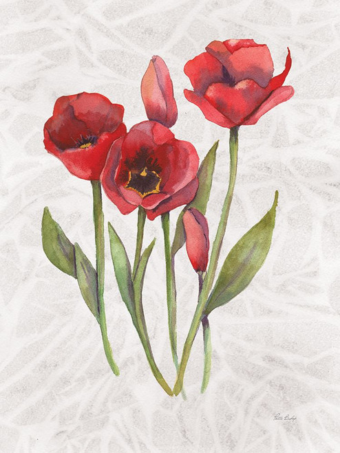 Red Tulip 1 Poster Print - Patti Bishop