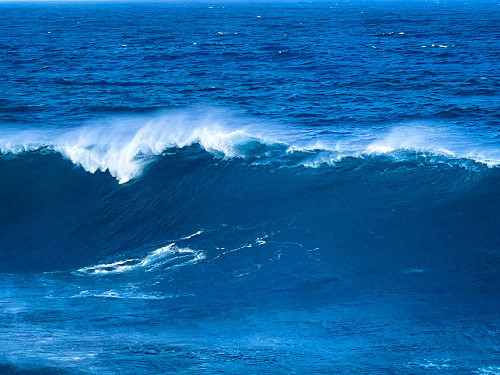 Aqua Juice Poster Print - Melissa Nebula