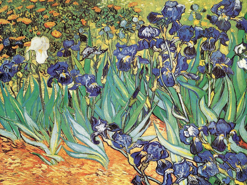 Van Gogh-Iris Garden Poster Print - Collection Masters