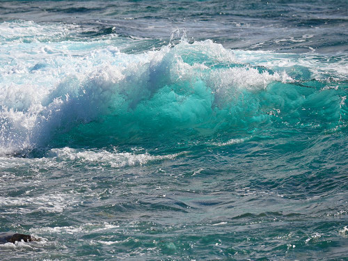 Shoreline 1 Poster Print - Melissa Nebula