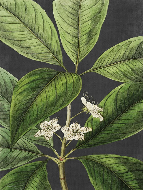 Grand Leaves Poster Print - and Lined Lettered