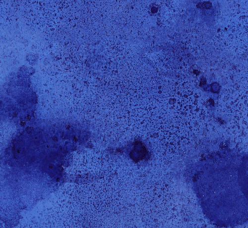 Salted-BB2L Poster Print - Melissa Renee