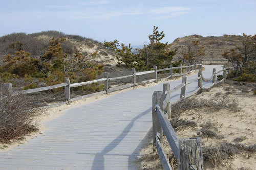 High Road 3 Poster Print - GST