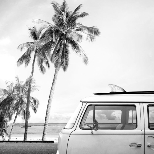 Braun Studio - California Van Poster Print - Studio Braun