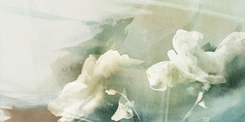 Ethereal Dreams in Green II Poster Print - Studio PI