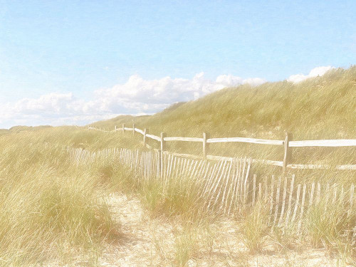 Seagrass Dunes Poster Print - GST