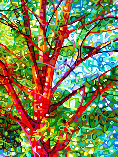 Summer Medley Poster Print - Mandy Budan