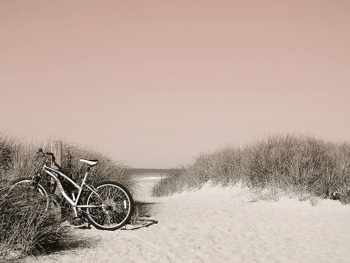 Ride Paused Poster Print - GST