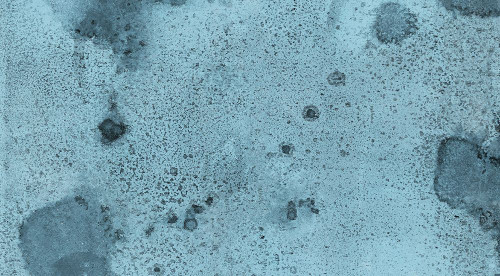 Salted-BR Poster Print - Melissa Renee