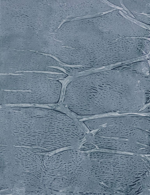 Ropes-B Poster Print - Melissa Renee