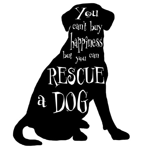 Rescue Dog 6 Poster Print - LightBoxJournal