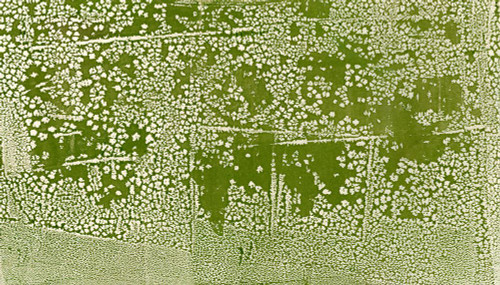 Mesh-GR Poster Print - Melissa Renee