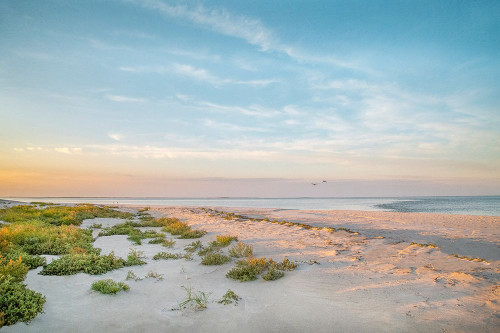 Morning Beach Poster Print - Brooke T. Ryan