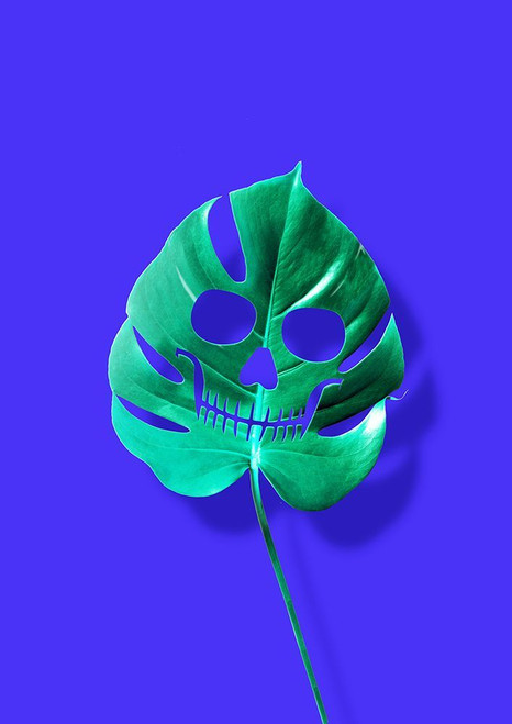 Monstera Poster Print - Artem Pozdniakov