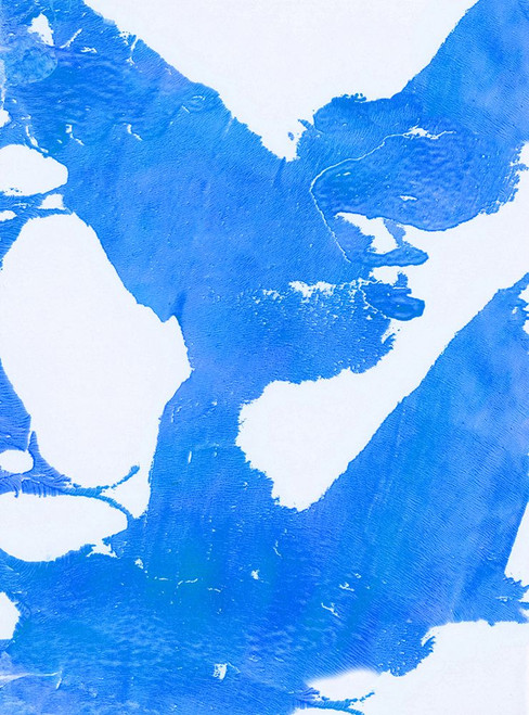 Marmalade-C Poster Print - Melissa Renee