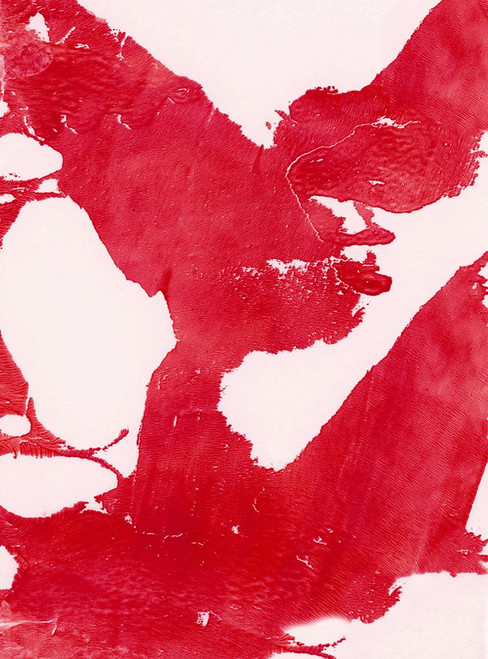 Marmalade-R Poster Print - Melissa Renee