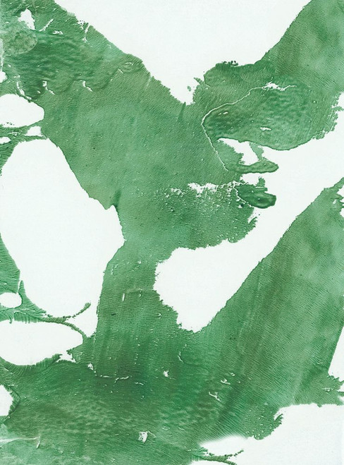 Marmalade-G Poster Print - Melissa Renee