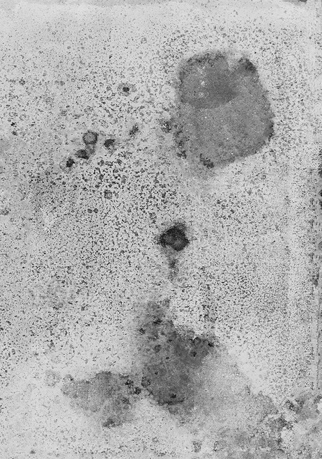 Salted-LL Poster Print - Melissa Renee