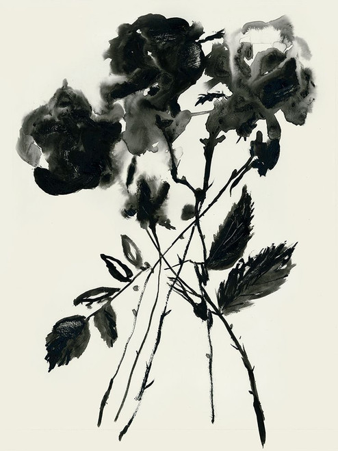 Black Flora Poster Print - Maya Woods