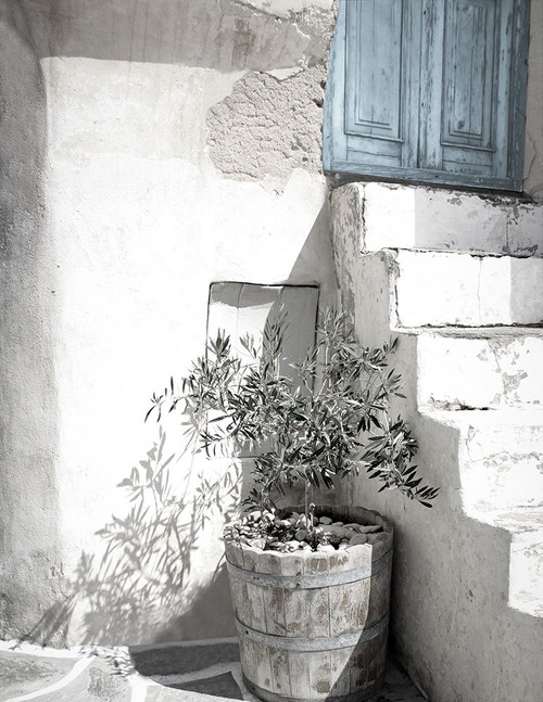 Dusty Blue Door 1 Poster Print - Riley B