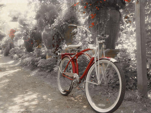 Garden Bike Poster Print - GST