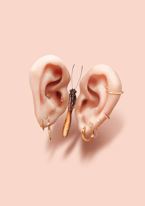 Butterfly Ears Poster Print - Artem Pozdniakov