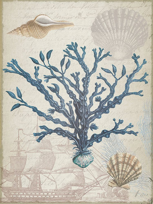 Coastal Coral 2 Poster Print - BijouxAnd Company Lula