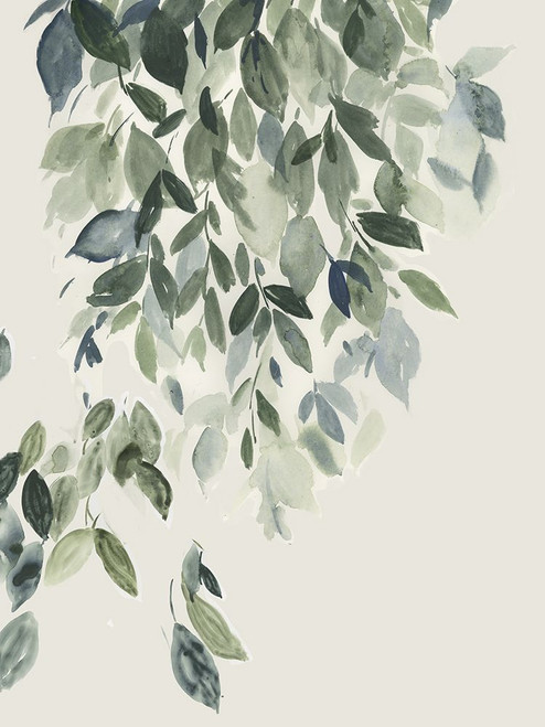 Birch Leaves In Spring Poster Print - Studio PI