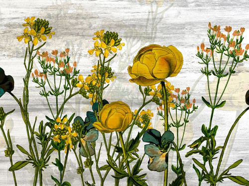 Wildflower Jar 5 Poster Print - Allen Kimberly