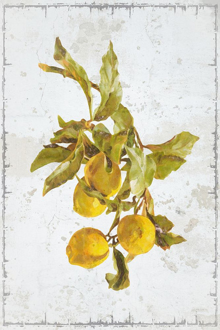 Lemon Branch I Poster Print - GST
