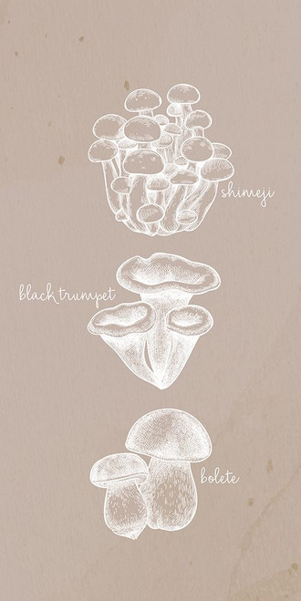 Mushrooms 2 Poster Print - Kimberly Allen Mushrooms 2 Poster Print - Kimberly Allen