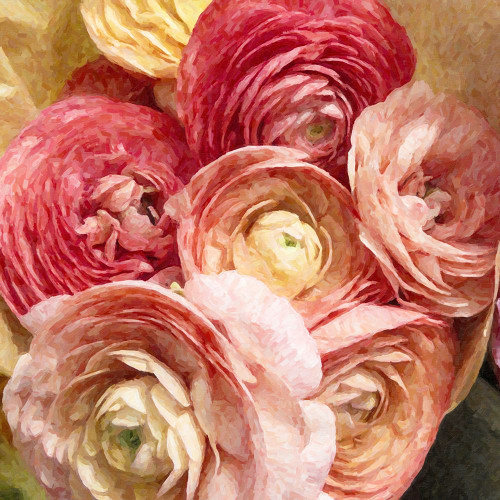 Ranunculus Bouquet 1 Poster Print - GST