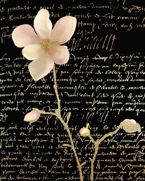 Magnolia Gold 1 Poster Print - Allen Kimberly