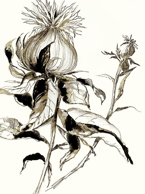 Botanical Seed II Poster Print - Asia Jensen