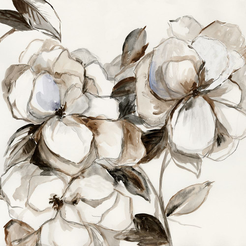 Sketch Florals I Poster Print - Asia Jensen