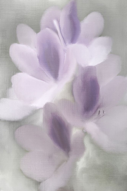 Silver Orchid Poster Print - Allen Kimberly