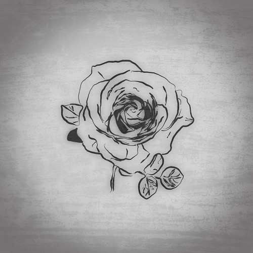 Beach Rose Linear Motion Poster Print - GST