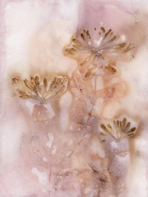 Honeysuckle Golden Rose Poster Print - Pernille Folcarelli