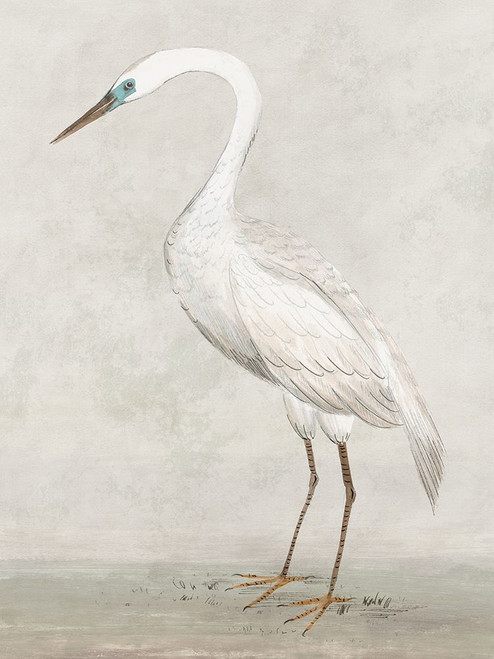 Vintage Heron II Poster Print - K Lily