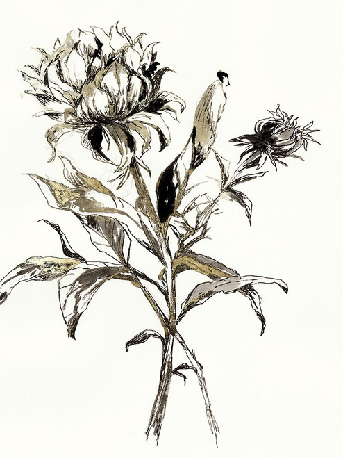 Botanical Seed I Poster Print - Asia Jensen