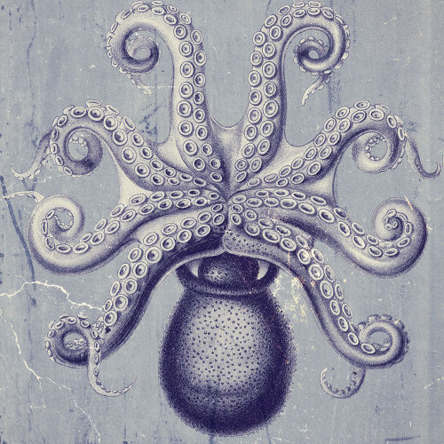 Octopus II Poster Print - GST