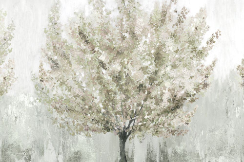 Sun Kissed Blossoms Poster Print - Studio PI