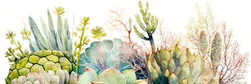 Succulent Panel 1 Poster Print - Kimberly Allen