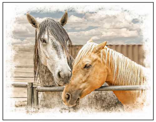 Horses Poster Print - Jerry Cowart