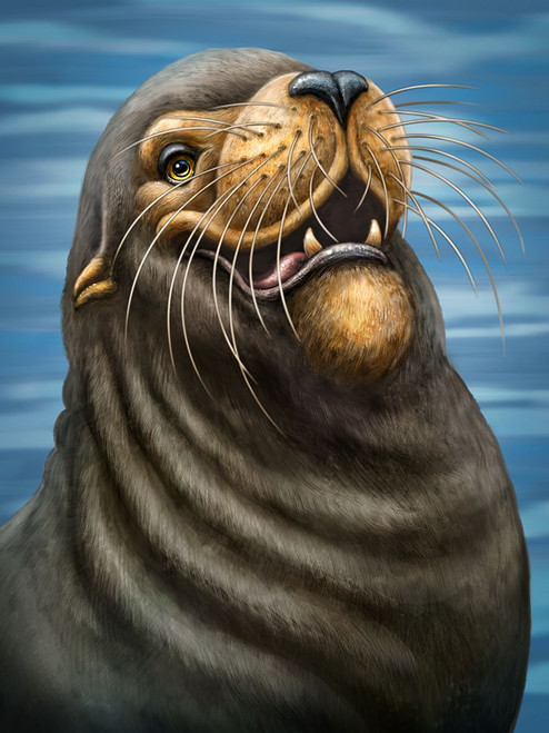 SeaLion Poster Print - Patrick LaMontagne SeaLion Poster Print - Patrick LaMontagne