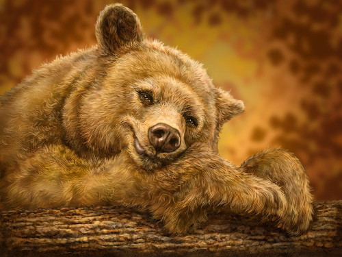 Sleepy Bear Poster Print - Patrick LaMontagne